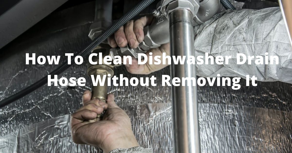 How To Clean Dishwasher Drain Hose Without Removing It