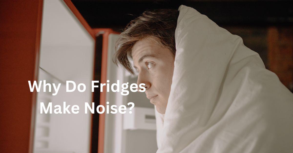 Why Do Fridges Make Noise