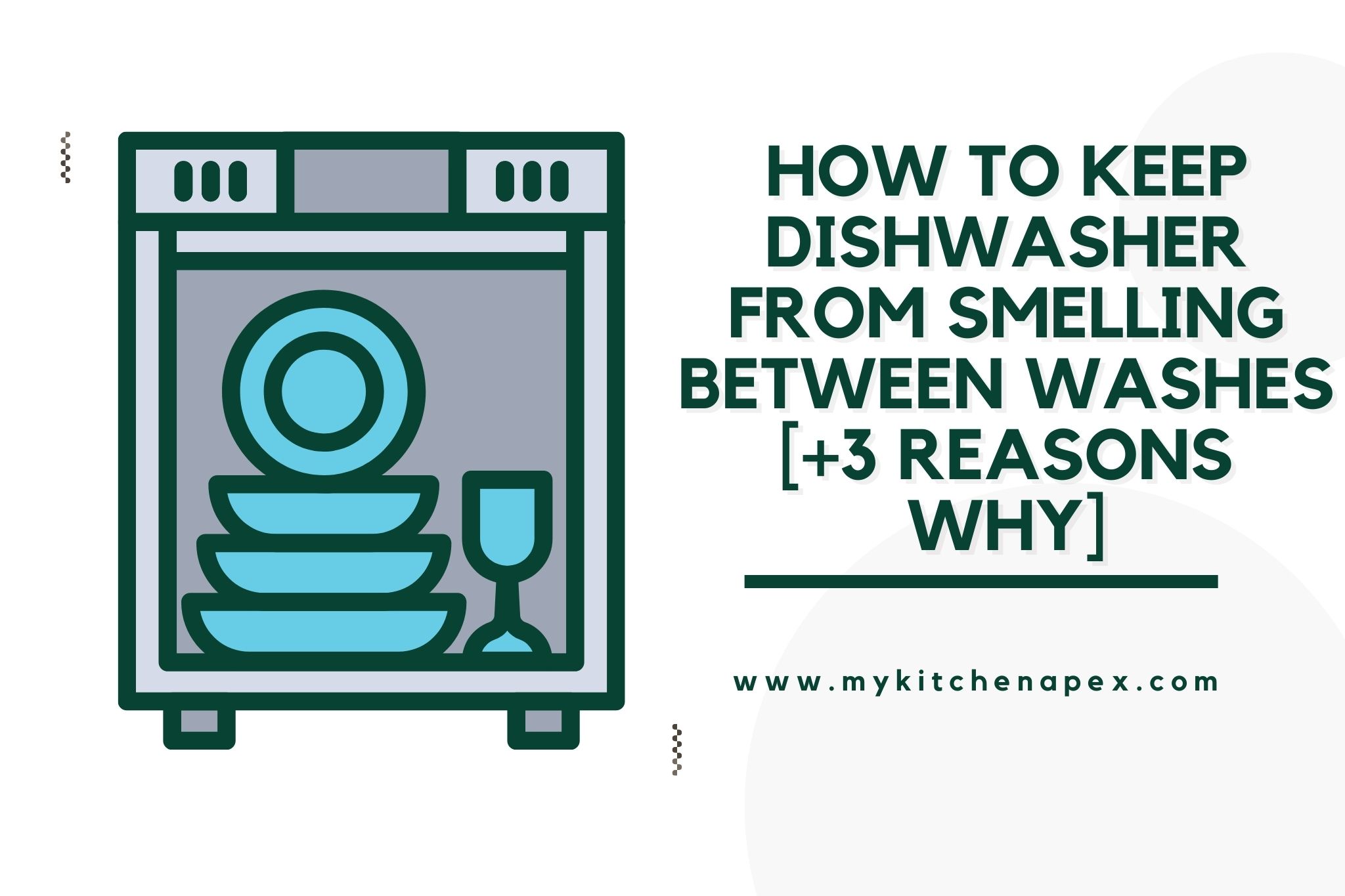 How To Keep Dishwasher From Smelling Between Washes [+3 REASONS Why]