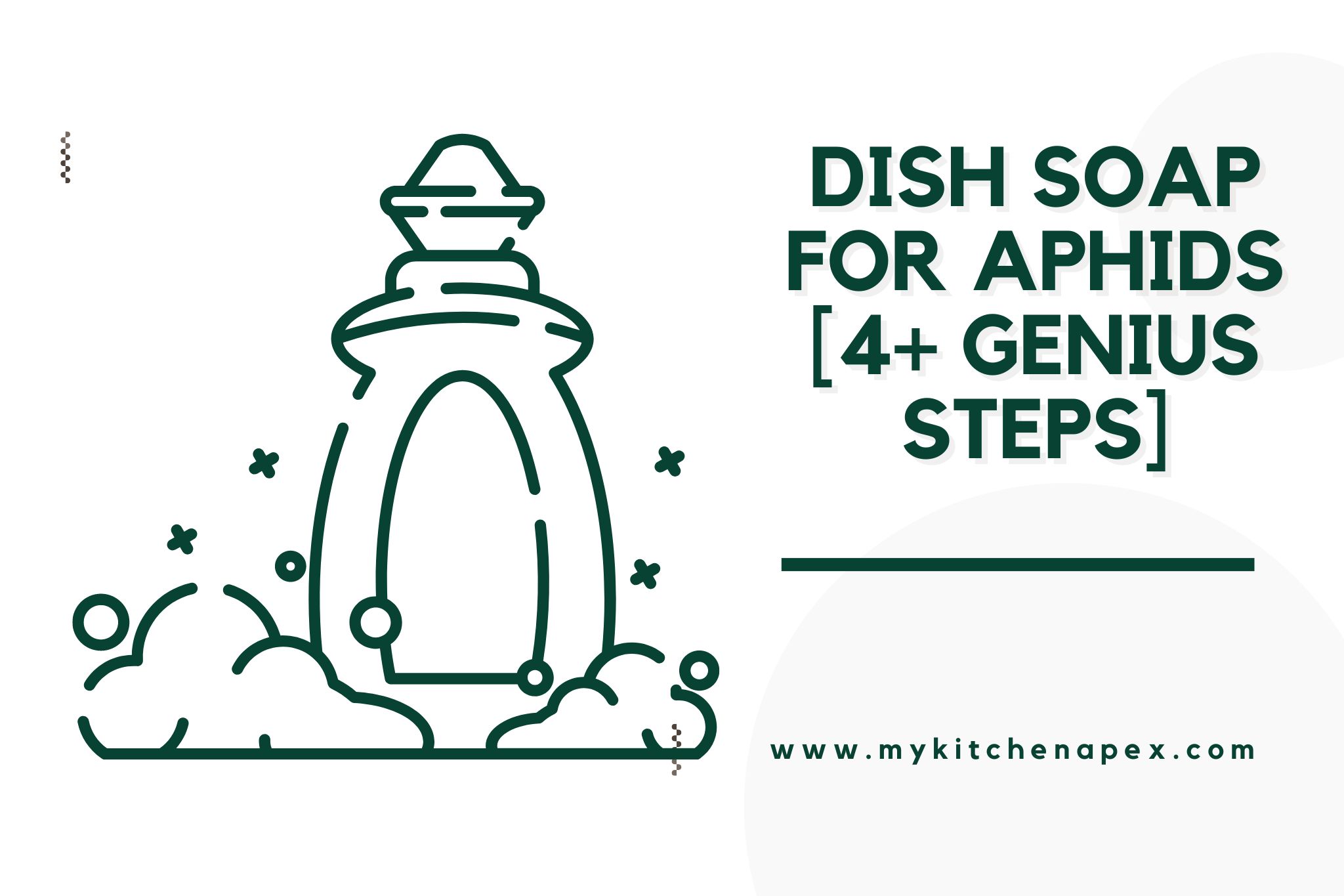 Dish Soap For Aphids [4+ GENIUS Steps]