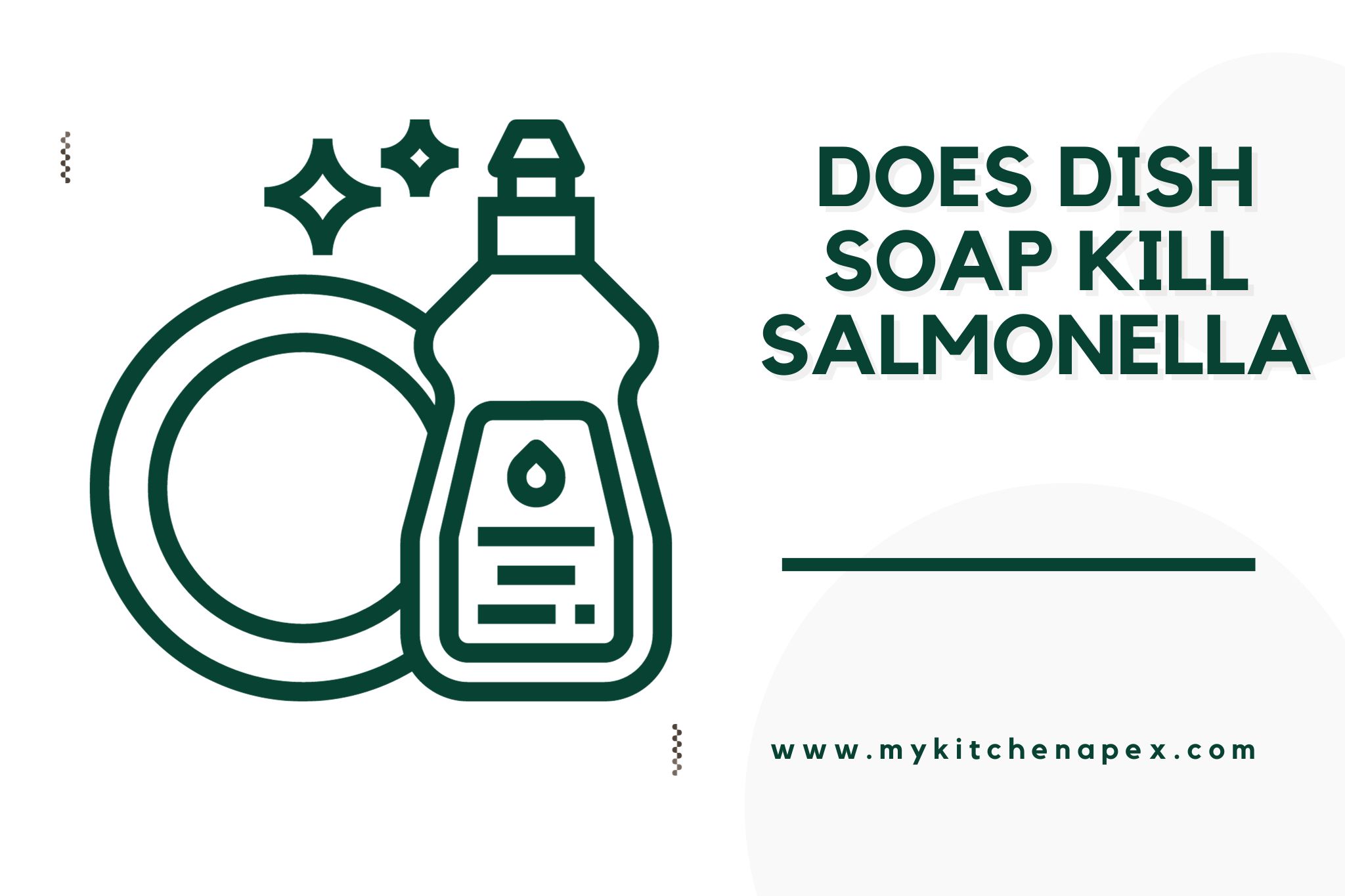 does dish soap kill salmonella
