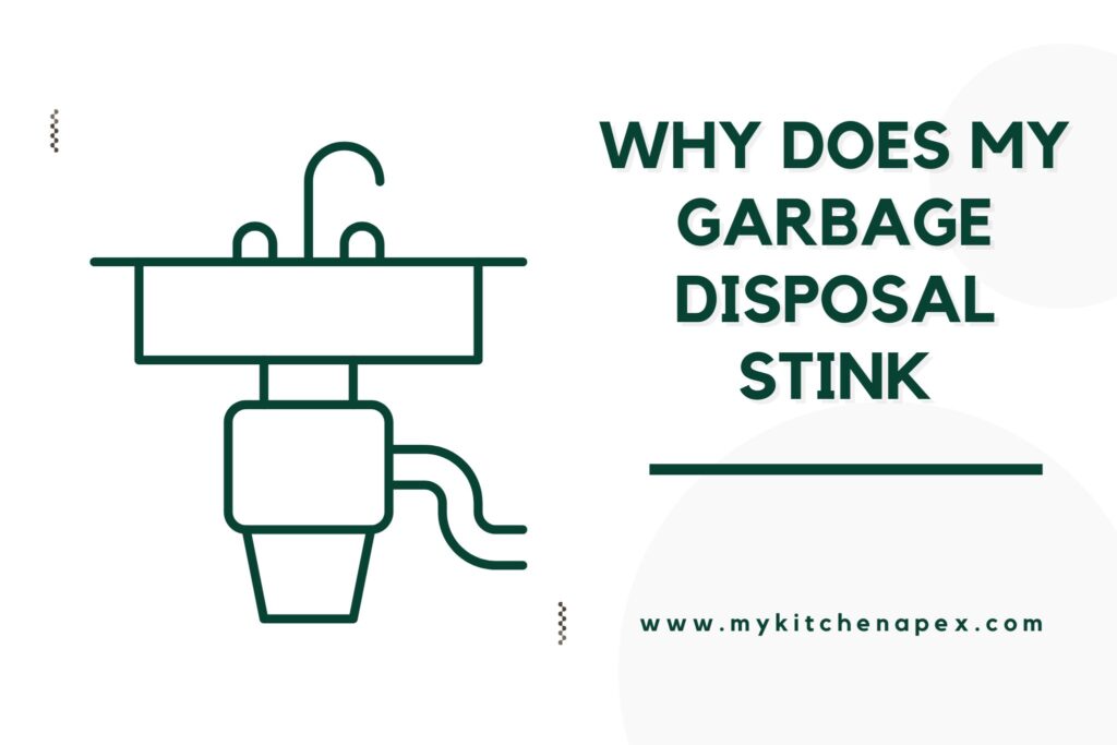 Why Does My Garbage Disposal Stink? [5 Powerful Tips to Banish Odors